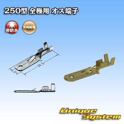 Photo1: [Yazaki Corporation] 250-type series non-waterproof all-pole male-terminal