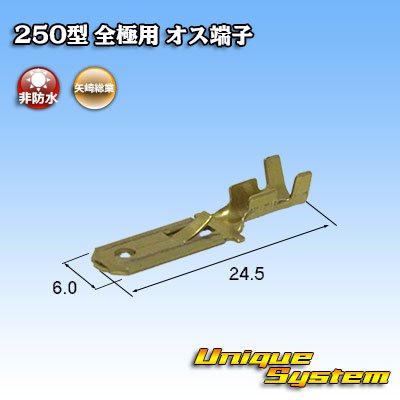 Photo2: [Yazaki Corporation] 250-type series non-waterproof all-pole male-terminal size:M (0.5-2.0mm2)