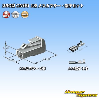 Photo5: [Yazaki Corporation] 250-type CN (B) non-waterproof 1-pole female-coupler & terminal set