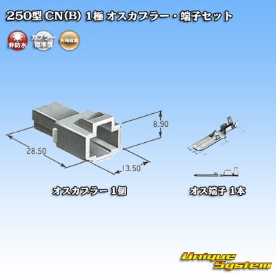 Photo5: [Yazaki Corporation] 250-type CN (B) non-waterproof 1-pole male-coupler & terminal set