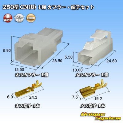 Photo1: [Yazaki Corporation] 250-type CN (B) non-waterproof 1-pole coupler & terminal set