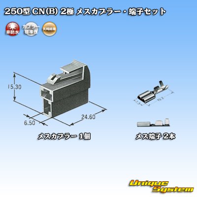 Photo5: [Yazaki Corporation] 250-type CN (B) non-waterproof 2-pole female-coupler & terminal set