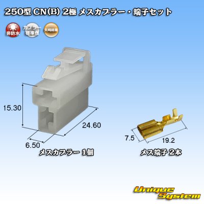 Photo1: [Yazaki Corporation] 250-type CN (B) non-waterproof 2-pole female-coupler & terminal set