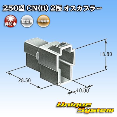 Photo4: [Yazaki Corporation] 250-type CN (B) non-waterproof 2-pole male-coupler