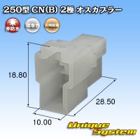 [Yazaki Corporation] 250-type CN (B) non-waterproof 2-pole male-coupler