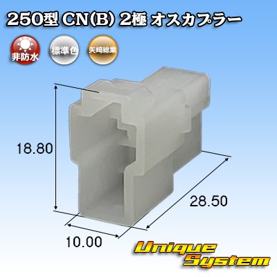 Photo1: [Yazaki Corporation] 250-type CN (B) non-waterproof 2-pole male-coupler
