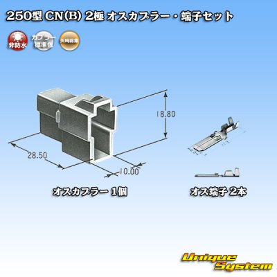 Photo5: [Yazaki Corporation] 250-type CN (B) non-waterproof 2-pole male-coupler & terminal set