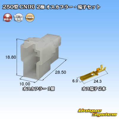 Photo1: [Yazaki Corporation] 250-type CN (B) non-waterproof 2-pole male-coupler & terminal set