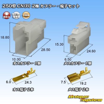 Photo1: [Yazaki Corporation] 250-type CN (B) non-waterproof 2-pole coupler & terminal set