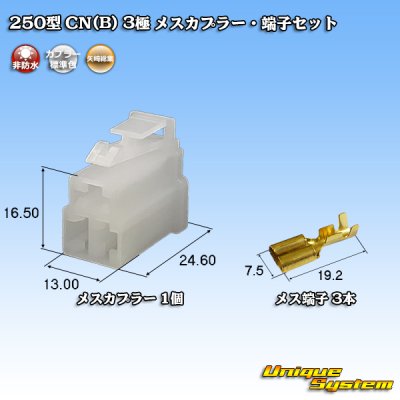 Photo1: [Yazaki Corporation] 250-type CN (B) non-waterproof 3-pole female-coupler & terminal set