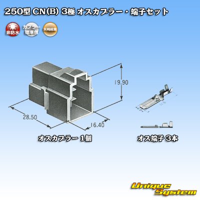 Photo5: [Yazaki Corporation] 250-type CN (B) non-waterproof 3-pole male-coupler & terminal set