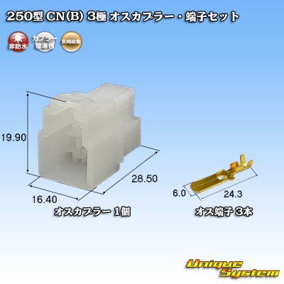 Photo1: [Yazaki Corporation] 250-type CN (B) non-waterproof 3-pole male-coupler & terminal set