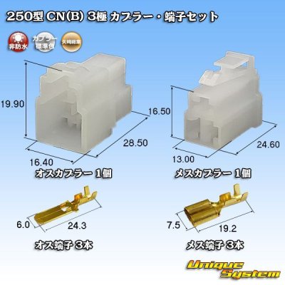 Photo1: [Yazaki Corporation] 250-type CN (B) non-waterproof 3-pole coupler & terminal set