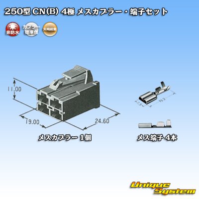 Photo5: [Yazaki Corporation] 250-type CN (B) non-waterproof 4-pole female-coupler & terminal set