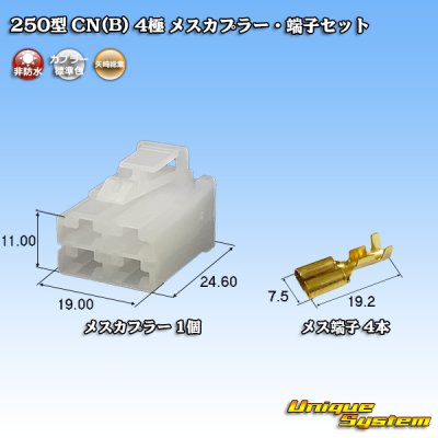 Photo1: [Yazaki Corporation] 250-type CN (B) non-waterproof 4-pole female-coupler & terminal set