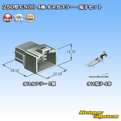 Photo5: [Yazaki Corporation] 250-type CN (B) non-waterproof 4-pole male-coupler & terminal set