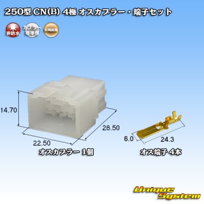 Photo1: [Yazaki Corporation] 250-type CN (B) non-waterproof 4-pole male-coupler & terminal set