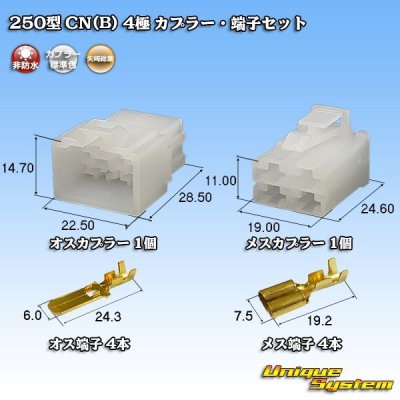 Photo1: [Yazaki Corporation] 250-type CN (B) non-waterproof 4-pole coupler & terminal set