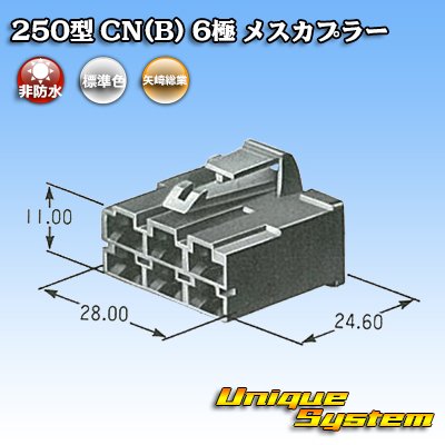 Photo4: [Yazaki Corporation] 250-type CN (B) non-waterproof 6-pole female-coupler