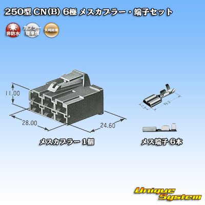 Photo5: [Yazaki Corporation] 250-type CN (B) non-waterproof 6-pole female-coupler & terminal set