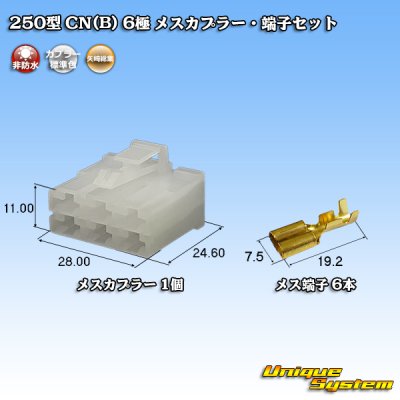 Photo1: [Yazaki Corporation] 250-type CN (B) non-waterproof 6-pole female-coupler & terminal set