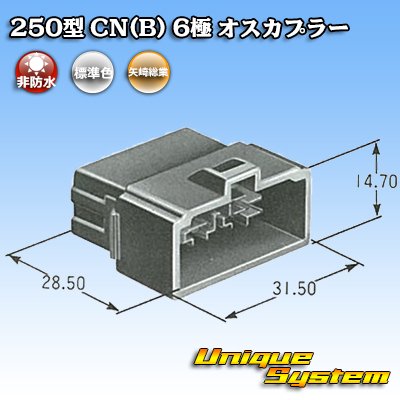Photo4: [Yazaki Corporation] 250-type CN (B) non-waterproof 6-pole male-coupler