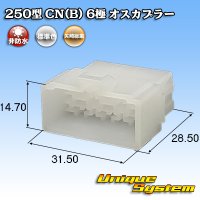 [Yazaki Corporation] 250-type CN (B) non-waterproof 6-pole male-coupler