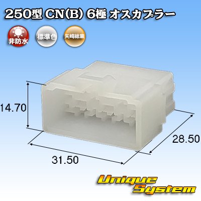 Photo1: [Yazaki Corporation] 250-type CN (B) non-waterproof 6-pole male-coupler