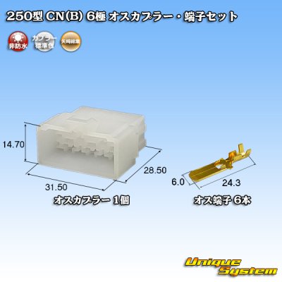 Photo1: [Yazaki Corporation] 250-type CN (B) non-waterproof 6-pole male-coupler & terminal set