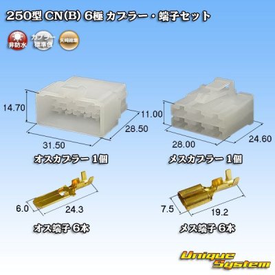 Photo1: [Yazaki Corporation] 250-type CN (B) non-waterproof 6-pole coupler & terminal set