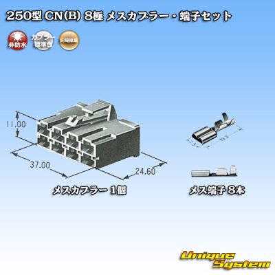 Photo5: [Yazaki Corporation] 250-type CN (B) non-waterproof 8-pole female-coupler & terminal set