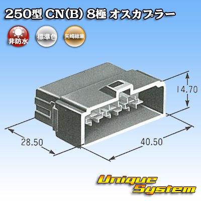 Photo4: [Yazaki Corporation] 250-type CN (B) non-waterproof 8-pole male-coupler