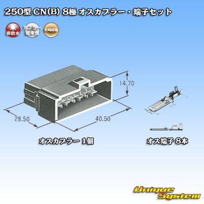 Photo5: [Yazaki Corporation] 250-type CN (B) non-waterproof 8-pole male-coupler & terminal set