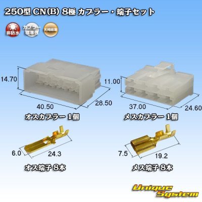 Photo1: [Yazaki Corporation] 250-type CN (B) non-waterproof 8-pole coupler & terminal set