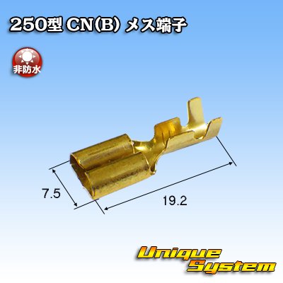 Photo2: [Yazaki Corporation] 250-type CN (B) non-waterproof female-terminal