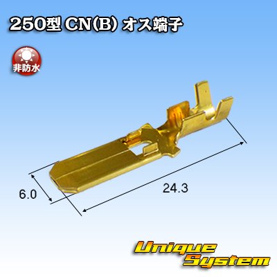 Photo2: [Yazaki Corporation] 250-type CN (B) non-waterproof male-terminal