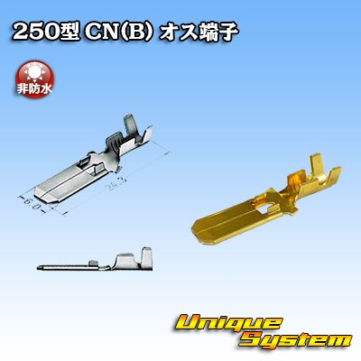 Photo1: [Yazaki Corporation] 250-type CN (B) non-waterproof male-terminal