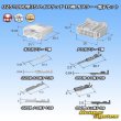 Photo8: [Sumitomo Wiring Systems] 025 + 090-type TS hybrid non-waterproof 18-pole coupler & terminal set (8)