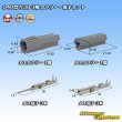 Photo1: [Nippon Tanshi] 040-type N38 non-waterproof 3-pole coupler & terminal set (gray) (1)