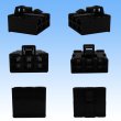 Photo3: [Sumitomo Wiring Systems] 250-type ETN non-waterproof 6-pole coupler & terminal set (black) (3)