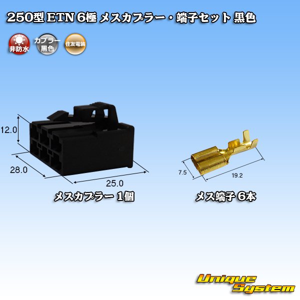 Photo1: [Sumitomo Wiring Systems] 250-type ETN non-waterproof 6-pole female-coupler & terminal set (black) (1)