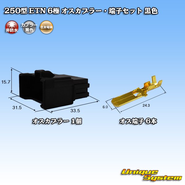 Photo1: [Sumitomo Wiring Systems] 250-type ETN non-waterproof 6-pole male-coupler & terminal set (black) (1)