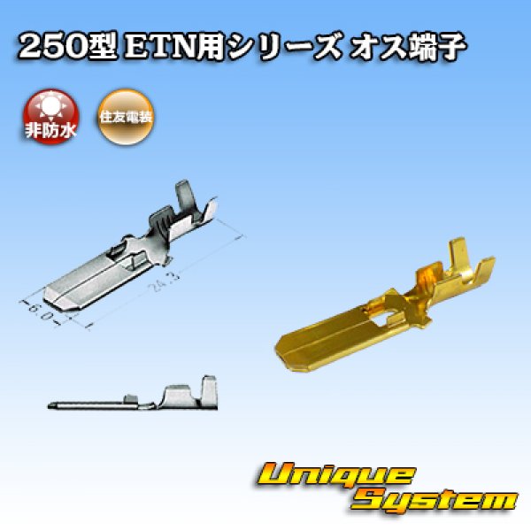 Photo1: [Sumitomo Wiring Systems] 250-type ETN series non-waterproof male-terminal (1)