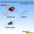 Photo5: [Sumitomo Wiring Systems] 090-type RS waterproof 3-pole female-coupler & terminal set with retainer (brown) type-1 (no male side) (5)