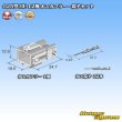 Photo5: [Sumitomo Wiring Systems] 025-type HE non-waterproof 12-pole male-coupler & terminal set (5)