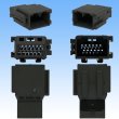 Photo3: [JAE Japan Aviation Electronics] 025-type MX34 non-waterproof 12-pole male-coupler & terminal set (3)