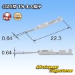 Photo3: [Sumitomo Wiring Systems] 025-type TS non-waterproof male-terminal (3)