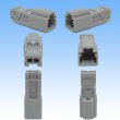 Photo2: [Sumitomo Wiring Systems] 090-type HD non-waterproof 2-pole male-coupler & terminal set (2)