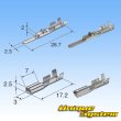 Photo4: [Sumitomo Wiring Systems] 090-type HD non-waterproof 3-pole coupler & terminal set (4)