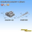 Photo5: [Sumitomo Wiring Systems] 090-type HM non-waterproof 16-pole male-coupler & terminal set (5)